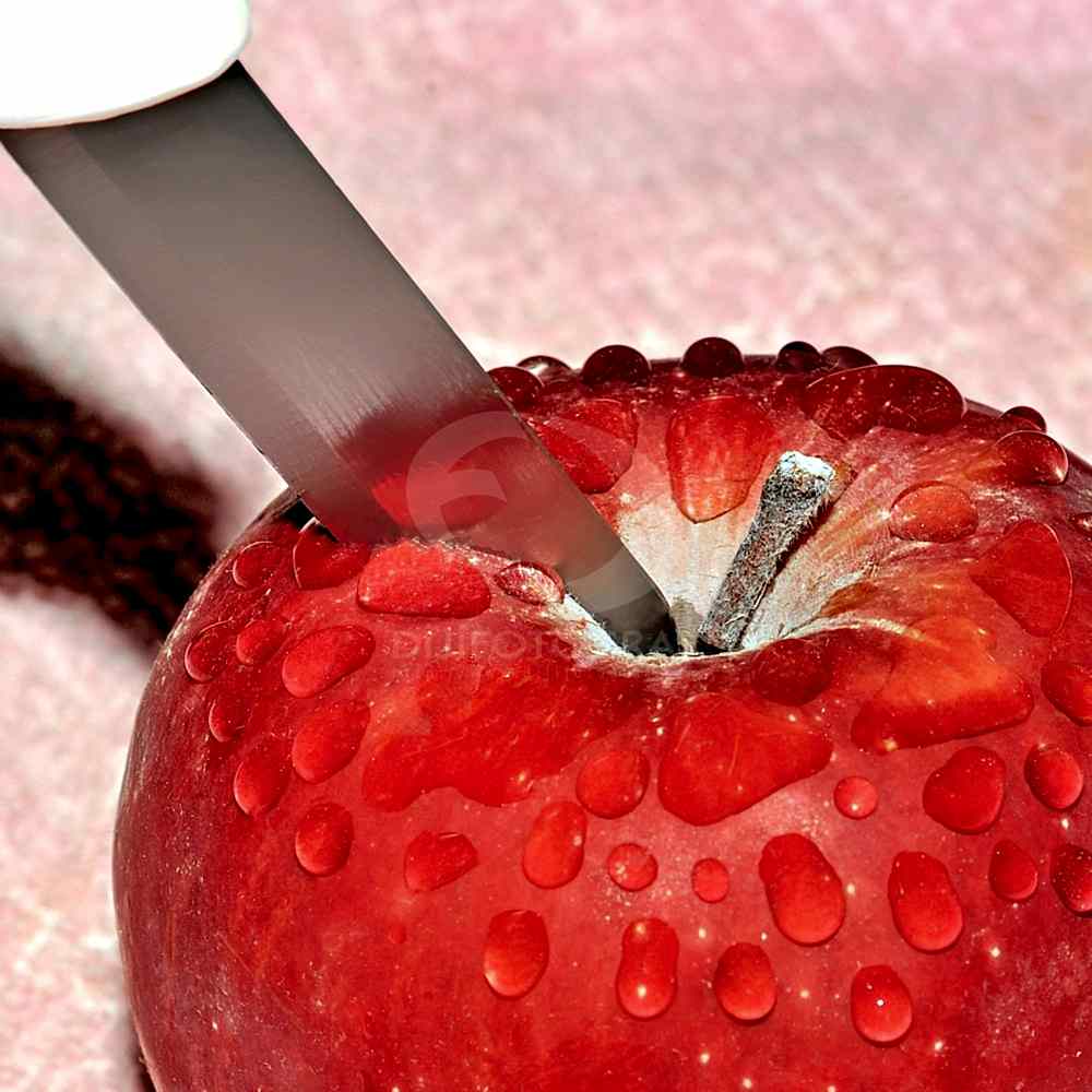 still life fotoğraf çekimi